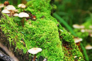 开云体育APP下载-跨界指挥官，阿什拉夫的双线奏鸣曲