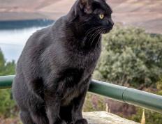 开云体育-德意志大脑肢解法兰西防线，京多安在伯纳乌给法国人上的战术课