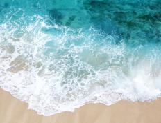 开云平台-逆境中绽放的袋鼠军团，卡拉斯科一锤定音导演惊天逆转