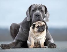 开云体育APP下载-维尼修斯点燃桑巴风暴，丹麦童话续写突围传奇