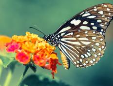 开云体育app-李刚仁教科书表现闪耀足坛，奥地利马赛爆冷缔造奇迹