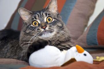 开云体育下载-德甲争冠战败北掘金卫冕立威，竞技场上的戏剧与掌控