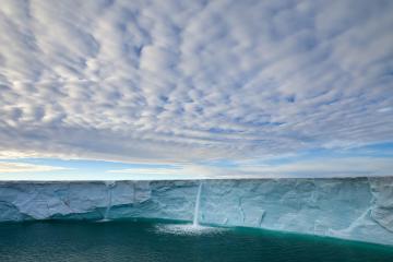 开云平台-跨越大陆的传奇，从葡萄牙绿茵到NBA硬木的决胜时刻