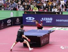 开云体育官方网站-波兰乒乓球队碾压韩国乒乓球队，水谷隼制霸全场的简单介绍