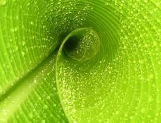 开云体育官网-劳塔罗破门+助攻主宰欧战，国际米兰3-1客胜皇家贝蒂斯