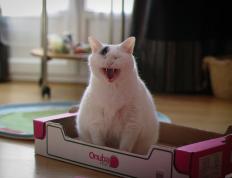 开云体育官方网站-欧冠淘汰赛之夜，久保建英的东方魔术如何撕碎欧洲防线？