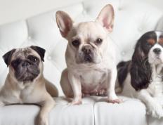 开云体育平台APP-死神挥镰！杜兰特狂砍39分引领公牛逆转浙江队