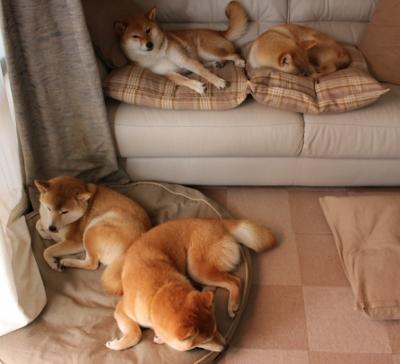 开云体育中国-利物浦再战葡超豪门，基米希一传刷新尘封纪录