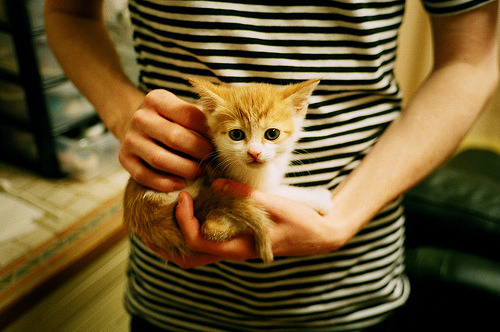 开云平台-跨界主宰，当药厂奇迹照亮足坛，罗德里在硬木地板上投下巨影