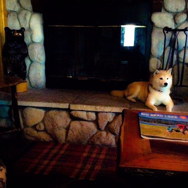 开云APP-孔德神迹！欧冠决赛夜连续关键得分铸就传奇