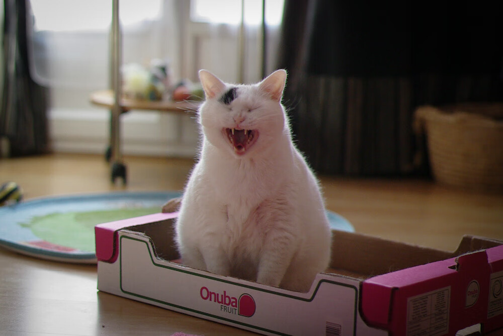 开云体育官方网站-欧冠淘汰赛之夜，久保建英的东方魔术如何撕碎欧洲防线？