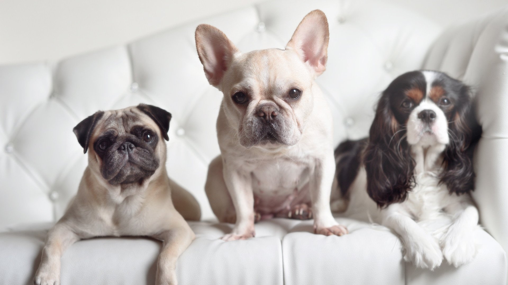 开云体育平台APP-死神挥镰!杜兰特狂砍39分引领公牛逆转浙江队