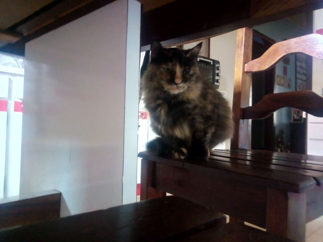 开云体育下载-班凯罗主宰决胜局！掘金攻克开拓者晋级之路