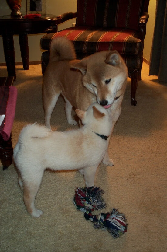 开云体育APP下载-辽宁队踏平步行者，保罗成为关键先生