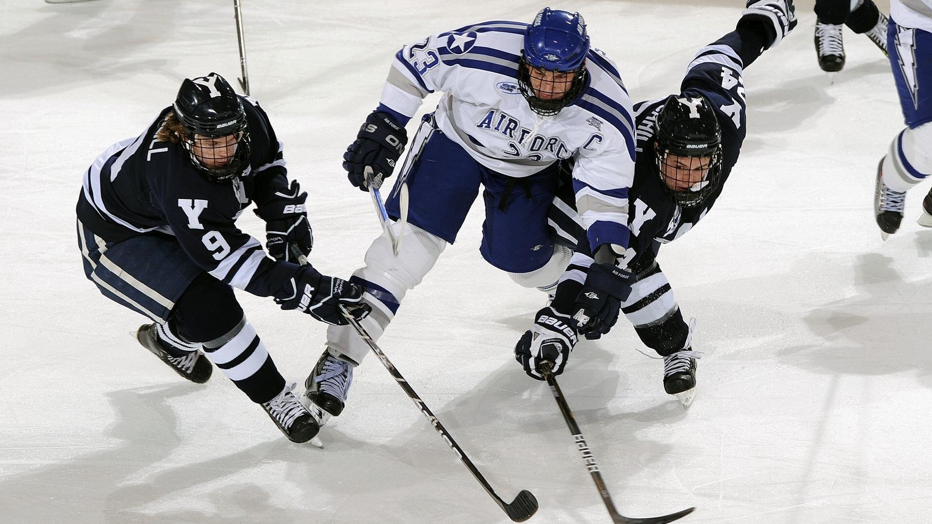开云体育APP下载-太阳炽焰焚风城,福克斯关键接管撕裂公牛防线